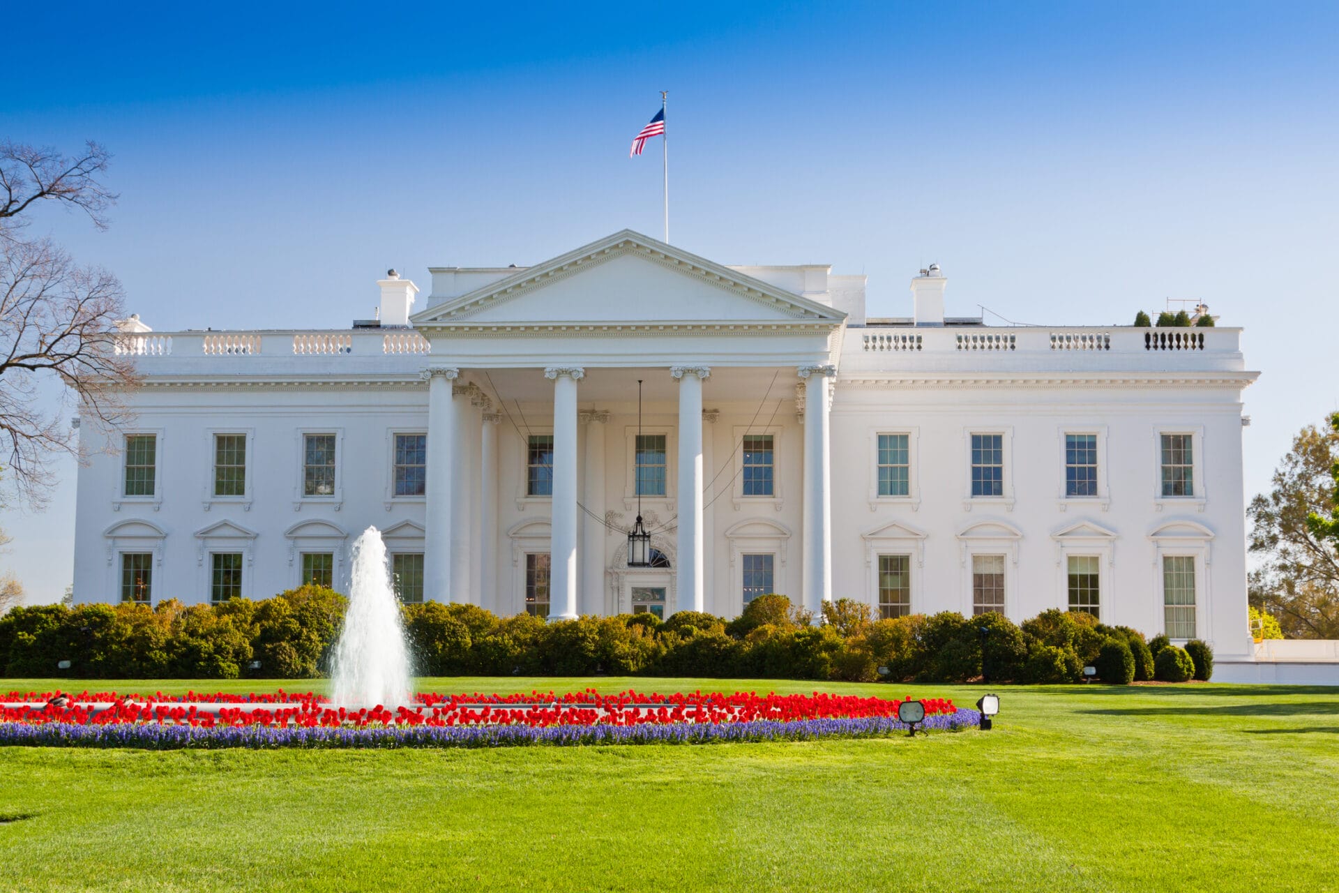 The White House And You – Are The Walls Closing In On MSPs?